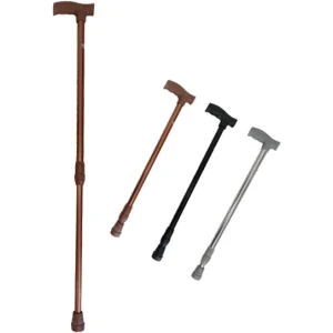 عصای پین دار لردی